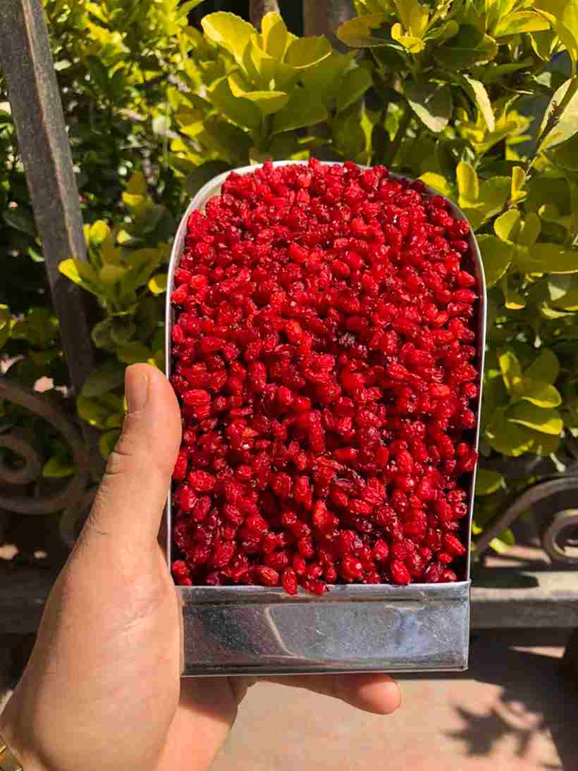 تصویر 1 از زرشک پفکی اعلا با کیفیت ممتاز و تازه